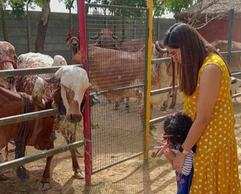 Family Weekend Trip Near in Delhi