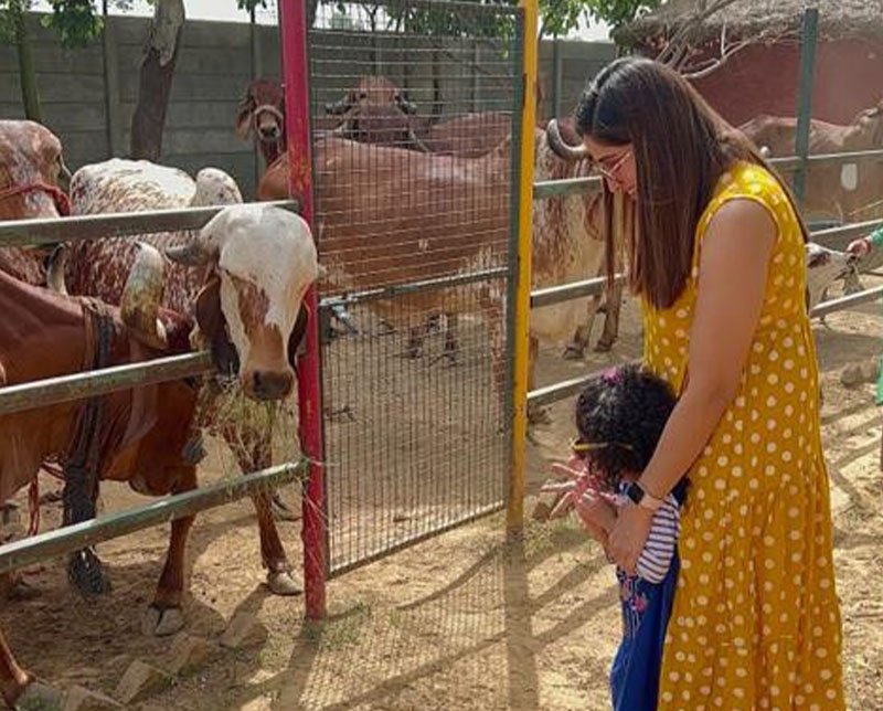 One-day evening outing with Family near Delhi